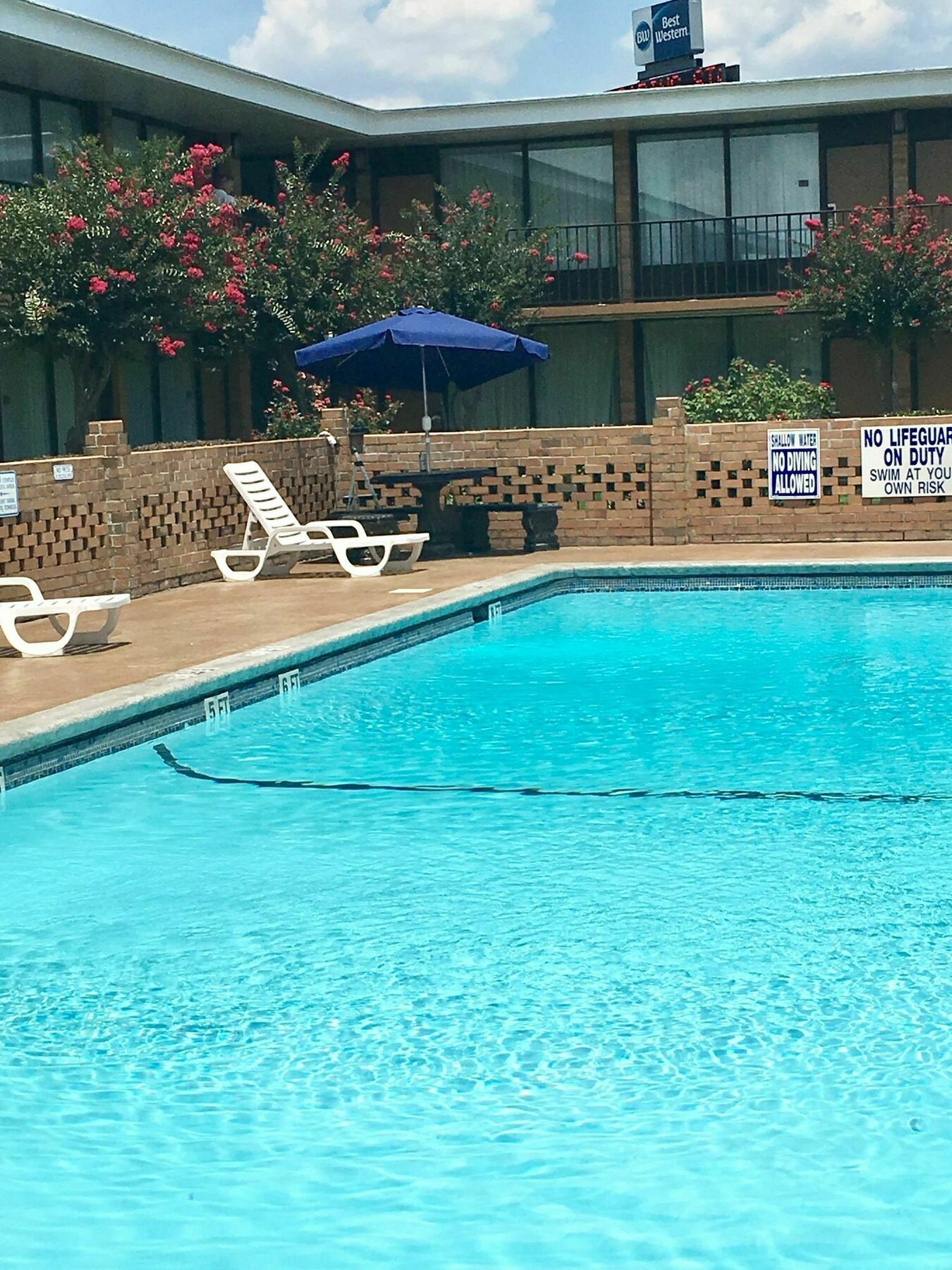 Best Western Greenville Airport Ngoại thất bức ảnh