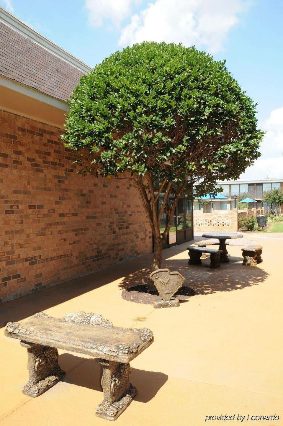 Best Western Greenville Airport Ngoại thất bức ảnh